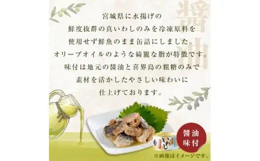 いわし缶 缶詰 食べ比べ セット (水煮・醤油) 8缶 宮城県 石巻市