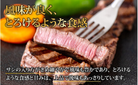 【肉の定期便×12回コース】肉好き大集合！若狭牛 食べ比べ 定期便！【福井のブランド牛肉】【4等級以上】[O-058002]