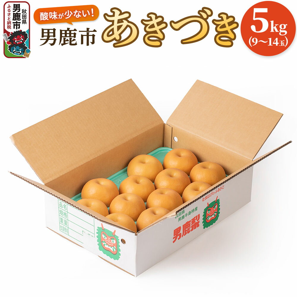 【ふるさと納税】【令和7年度 早期受付】あきづき 5kg 9〜14玉 梨 なし ナシ 秋田県 男鹿市 旬の果物 フルーツ