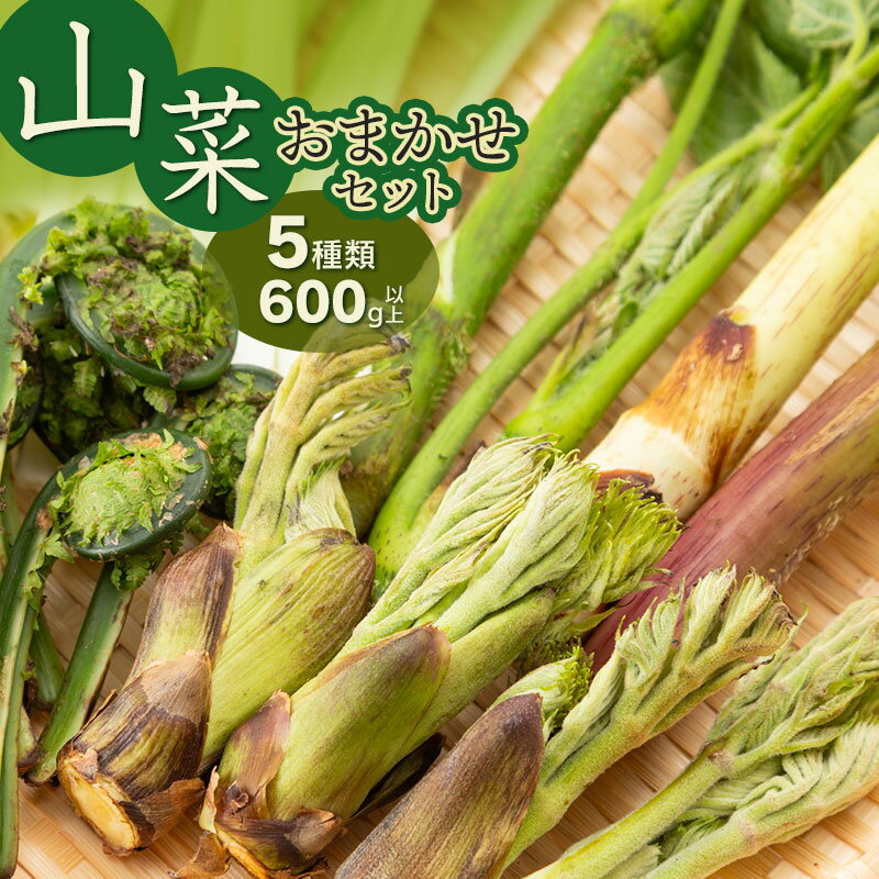 【ふるさと納税】【令和8年発送】山菜おまかせセット（5種以上）　計600g以上 山形県鶴岡産　グレイスファーム