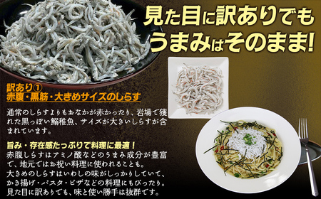 訳ありしらす 1kg IKTB016 