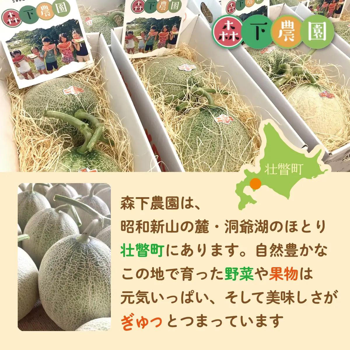 ＜2026年7月下旬よりお届け＞北海道壮瞥産 赤肉メロン（ニューキングメロン）2玉 約3kg SBTN003