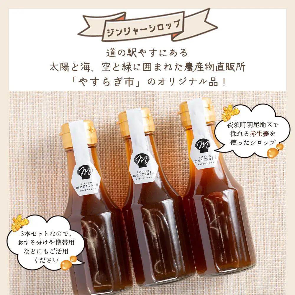 【定期便／年2回お届け】 香南市ジンジャーシロップ 生姜 (150ml)×3本セット 定期便 Wyr-0128