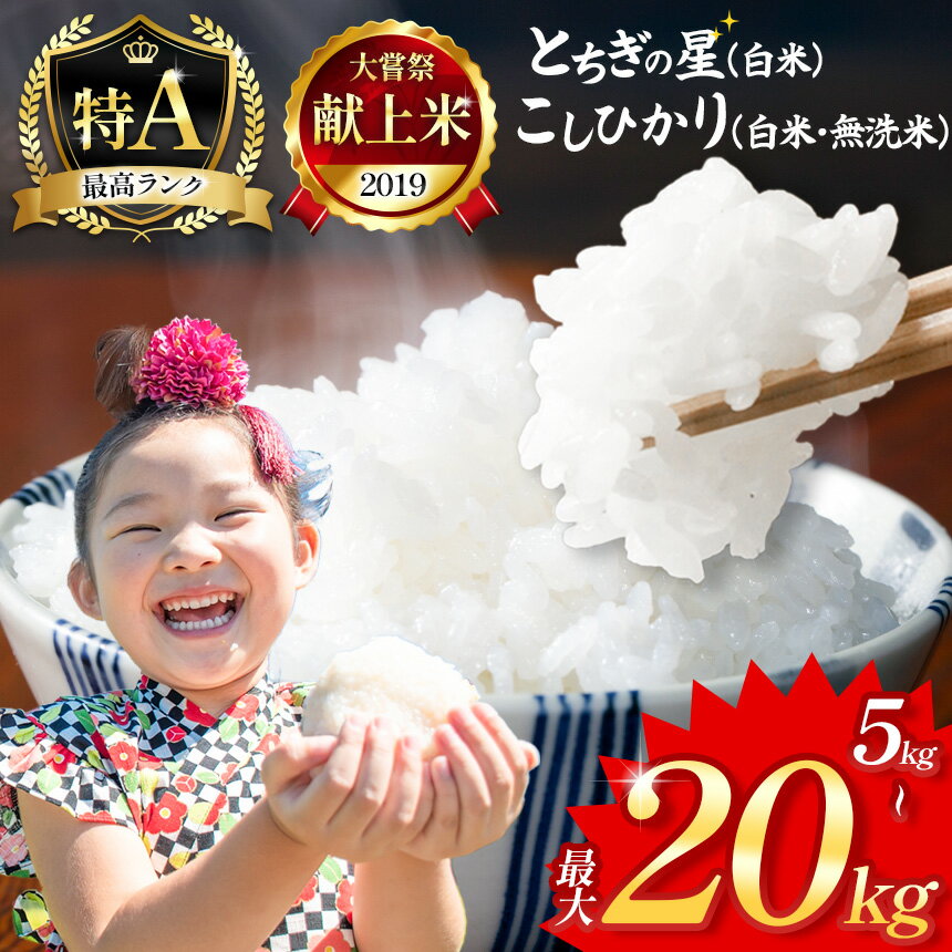 【ふるさと納税】とちぎの星(白米) ＆ コシヒカリ(白米 or 無洗米) 5～20kg | お米 米 こめ おにぎり ごはん ご飯 白米 無洗米 5kg 10kg 15kg 20kg 栃木県共通返礼品 令和6年産 人気 大容量 レビューキャンペーン 期間限定 栃木県 真岡市 送料無料