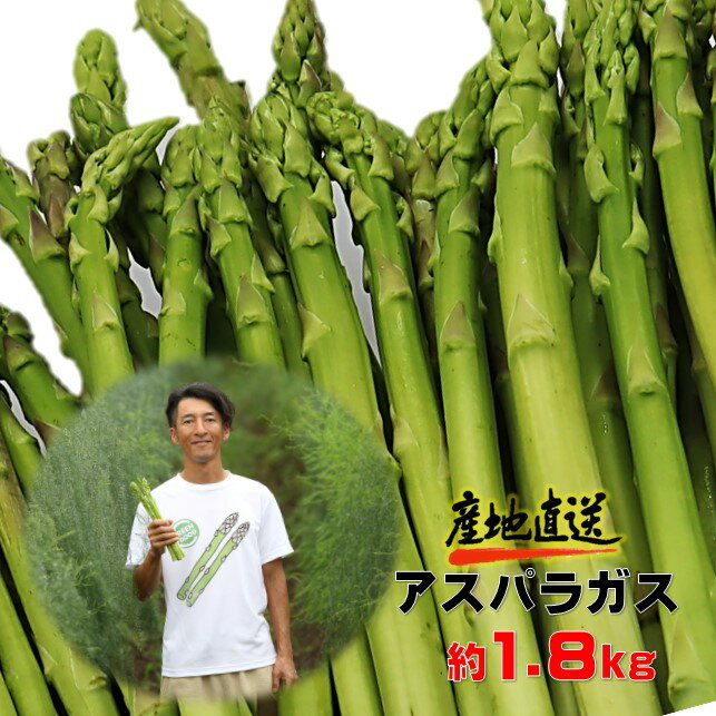 【ふるさと納税】採りたて 夏の アスパラガス 約 1.8kg 新鮮 野菜 グリーン アスパラ 産地直送 国産 岩手県 北上市産 旬 不揃い サイズ アスパラ王子 石井建一 岩手県 北上市 D0432 夏 野菜