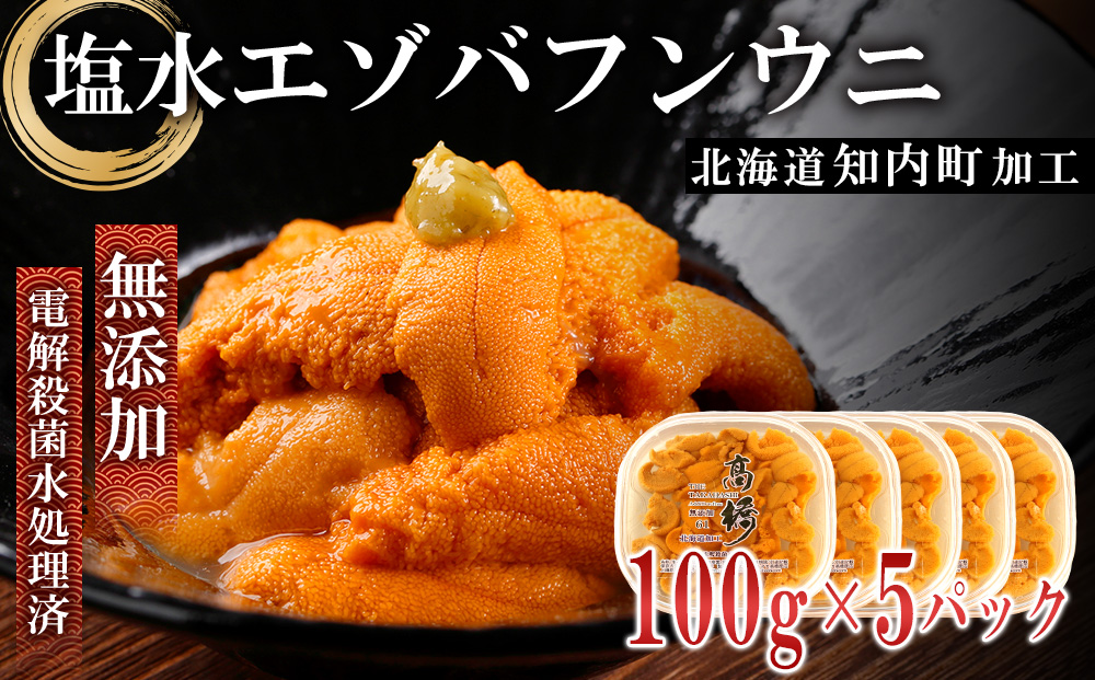  【2024年発送予約】 ☆知内町加工☆塩水エゾバフンウニ 贅沢１００g×５パックセット【マルタカ高橋商店】