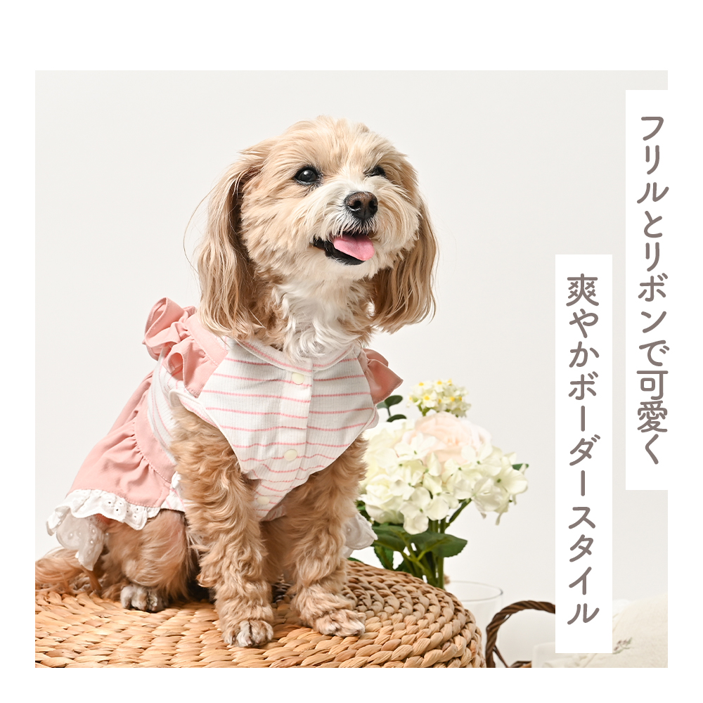 リボンボーダーワンピース ブルー (L) かわいい ドッグウェア 春夏 小型犬  【ココアトワ(cocoAtoi)】