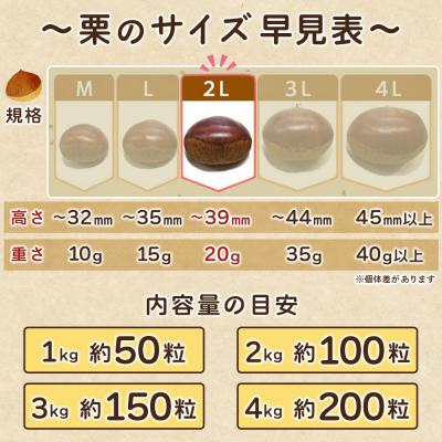 ふるさと納税 西予市 生栗 2Lサイズ(3kg)大きい 甘い 生栗 城川ファクトリー |  | 03