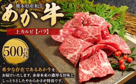 熊本県産和牛 「 あか牛 」 焼肉に絶品 上カルビ ( バラ ) 約500g 【 上 】 牛肉 お肉 ニク 肉 にく 牛 国産牛 国産 熊本県産 あか牛 熊本和牛あか牛