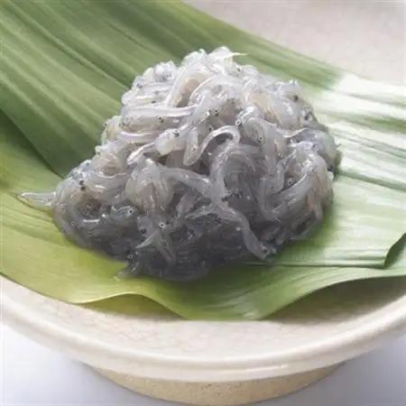 極冷生シラス　100g×6パック(簡易包装)_魚介・海産物 しらす・ちりめん  シラス チリメン_【配送不可地域：離島】【1044366】