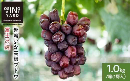 【２０２５年秋収穫先行予約_9月中旬～発送】 山梨県産 富士の輝１．０ｋｇ／箱 １房入　ALPAK018