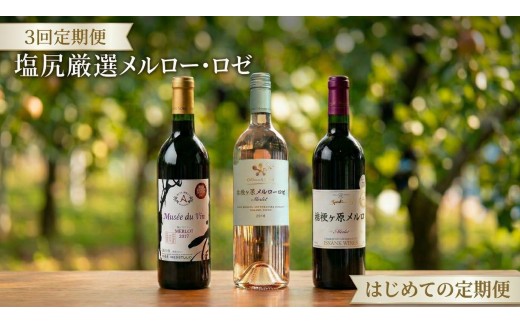 
                  塩尻ワイン はじめての3回定期便 | ワイン わいん 塩尻ワイン ロゼ 赤ワイン 定期便 お酒 おさけ 酒 さけ メルロ メルロー 飲み比べ シャトー・メルシャン 五一わいん 塩尻市 長野県 信州
                