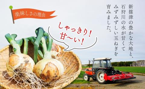 北海道 新しのつ産 玉ねぎ Lサイズ 約20kg オホーツク222 北もみじ2000 玉葱 たまねぎ タマネギ オニオン 旬 農作物 野菜 サラダ カレー 肉じゃが 長期保存 送料無料