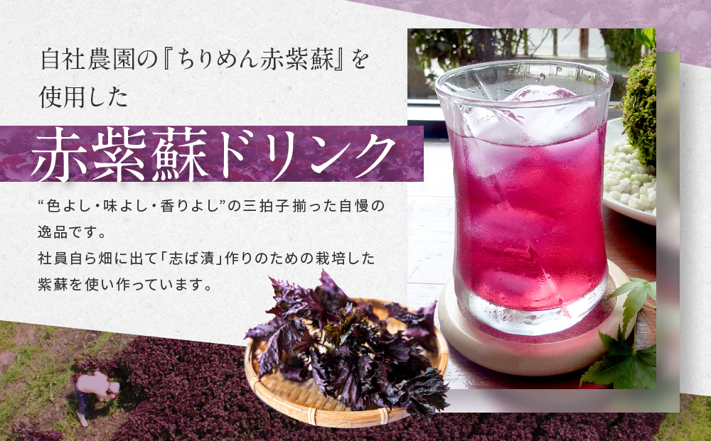 【土井志ば漬本舗】京都大原ちりめん赤紫蘇ジュース 1000ml×6本｜赤紫蘇ジュース ドリンク 人気セット［ ちりめん赤紫蘇 しそジュース 老舗 ストレートで飲める 炭酸割り お土産贈答 人気 おすす