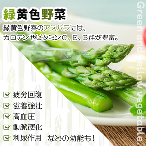 【先行予約/令和6年産】北海道岩見沢産　夏グリーンアスパラ　L～2Lサイズ 1kg【41104】