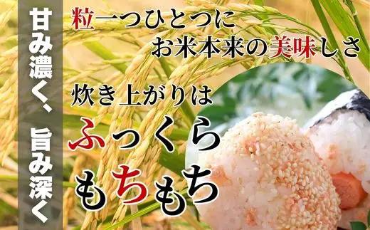 濃福米 3kg《福本商店》