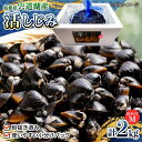 【ふるさと納税】宍道湖産活大和しじみ(M)2kg(砂はき済み) 島根県松江市/平野缶詰有限会社[ALBZ015]