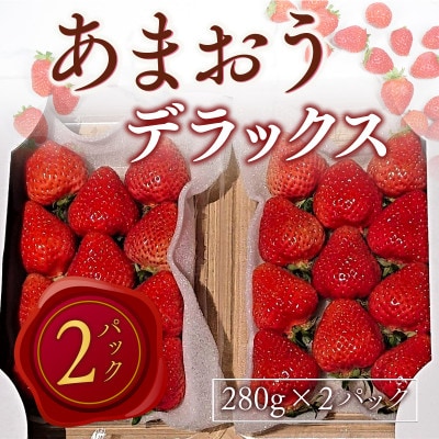 【2025年2月より順次発送】あまおうデラックス(約280g×2パック)(宇美町)【配送不可地域：離島】