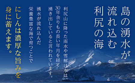 利尻島産 糠塩ニシン１０尾＜利尻漁業協同組合＞