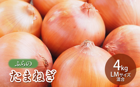 たまねぎ 富良野産 LMサイズ混合 たまねぎ【4kg】