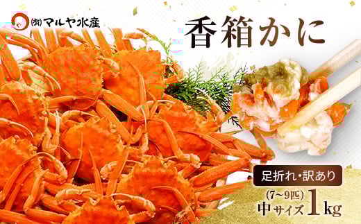 石川県産 香箱蟹 せいこ 訳あり 中サイズ 1kg 7～9匹 詰合せ 11月10日～12月15日発送 F6P-2776