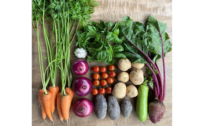 
[№5533-0341]季節の野菜セット6か月連続お届け　栽培期間中　無農薬、無科学肥料
