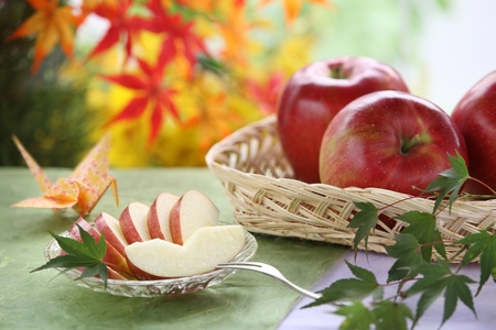 甘味たっぷり！【南信州産】シナノスイート 約5kg 10～18玉＜2026年10月中旬より発送＞