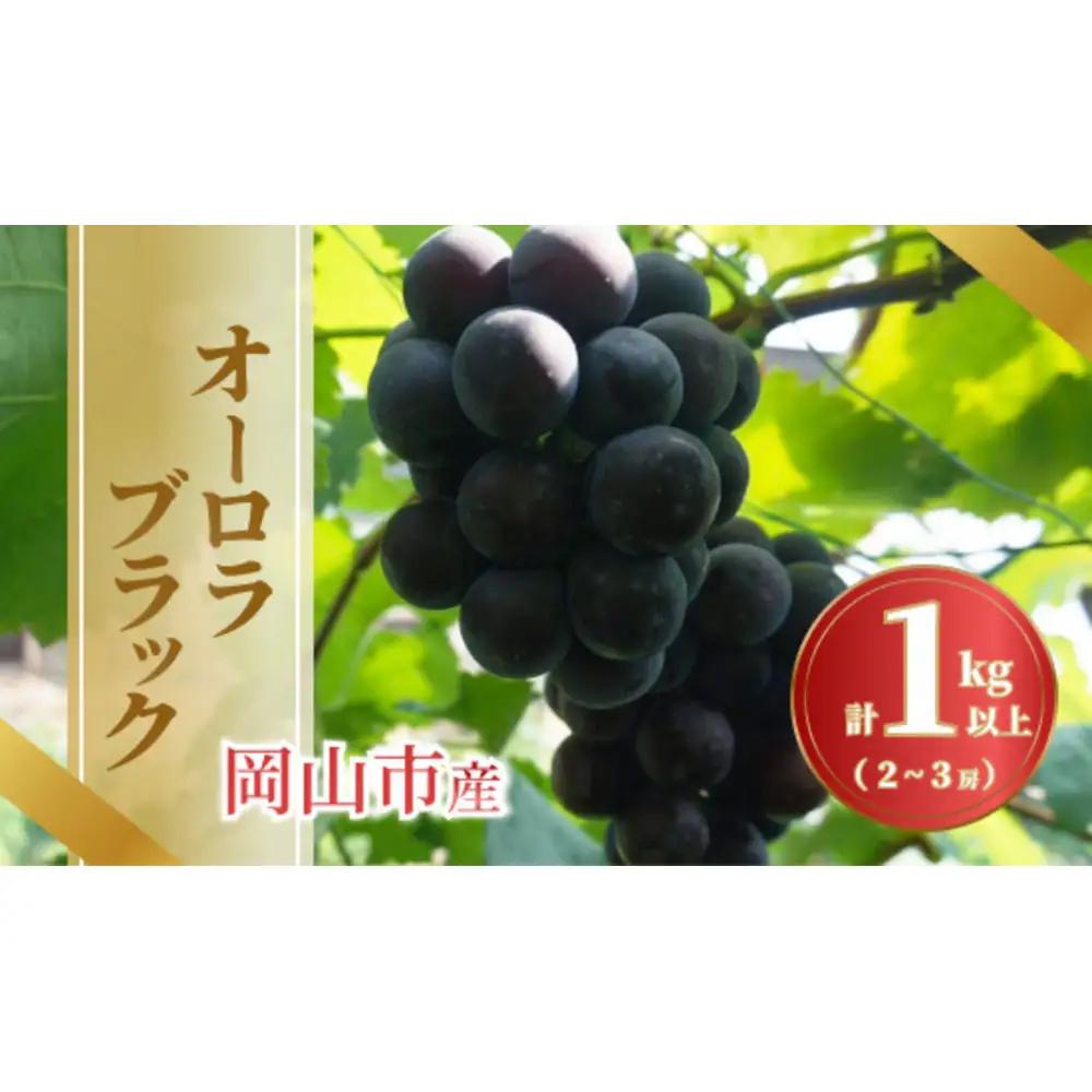 《2026年発送》岡山市産オーロラブラック 2〜3房 1kg以上
