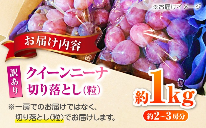 訳あり クイーンニーナ ぶどう 切り落とし 約1kg  ブドウ 葡萄 おすすめ 国産 熊本県 山鹿 果物 くだもの フルーツ