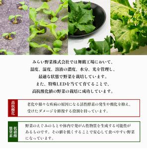 みらい乃野菜 はんなりレタス 10袋+2袋 12袋 720g レタス ケール おケールはん 袋入 水耕栽培 野菜 れたす 葉物 サラダ 高抗酸化値 低硝酸態窒素 小分け 小袋 そのまま 食べれる 健康