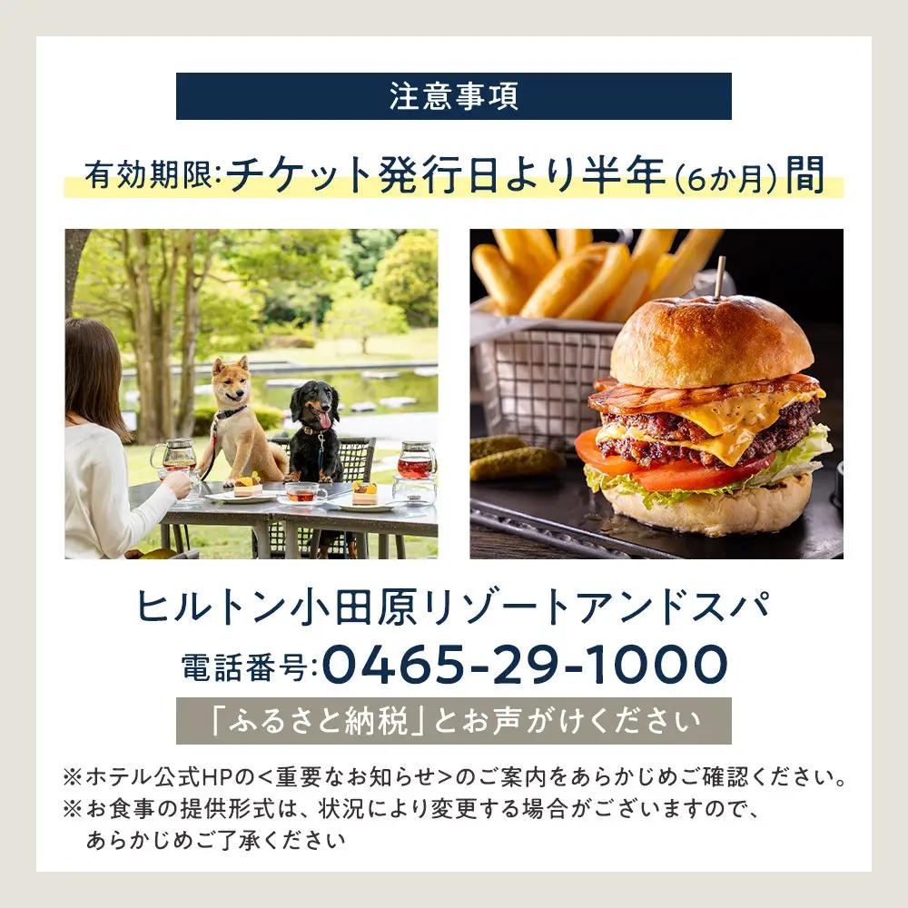 【チケット有効期限延長！】ブラッセリー「フローラ」ランチブッフェ招待券【食事 食事 レストラン ヒルトン】