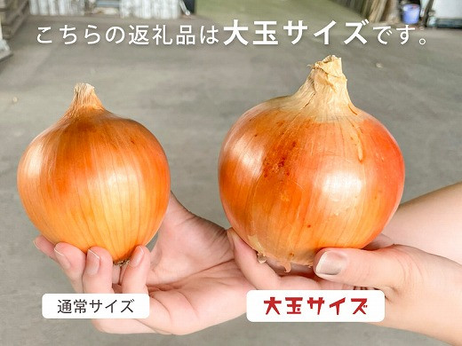 【あさひサンファーム】【大玉10㎏】ひょうご安心ブランド★特別栽培★淡路島たまねぎ