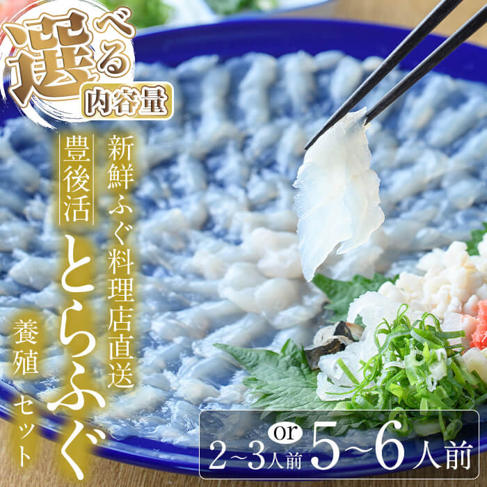 【ふるさと納税】＜着日指定必須＞＜内容量が選べる＞ 新鮮ふぐ料理店直送 「豊後活とらふぐ 刺身セット 養殖2-3人前 or 5-6人前」とらふぐ ふぐ フグ ふぐ刺し フグ刺し ふぐ刺身 フグ刺身 刺身 鮮魚 冷蔵 国産 大分県 佐伯市【HD221・HD252】【さいき本舗 城下堂】