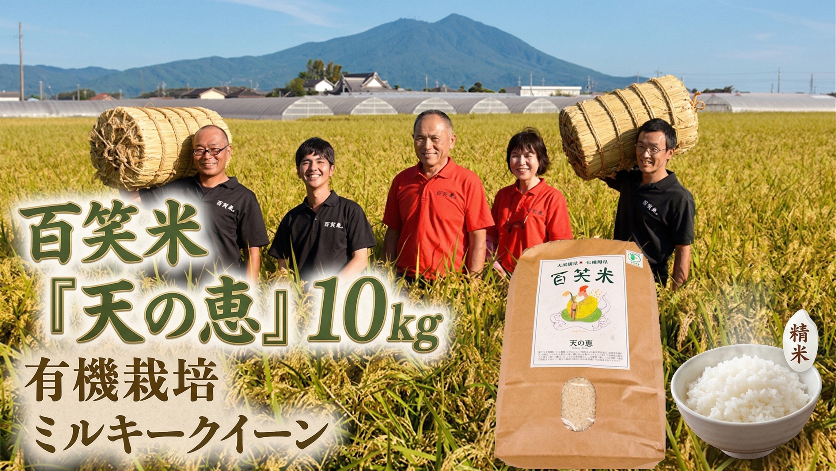
                  精米 有機栽培 ミルキークイーン 天の恵 10kg R8年産 米 コメ 茨城県 新米 精米 10kg 先行予約 令和8年産 米 お米 数量限定 ご飯 ごはん コメ 白米 ライス 米10kg 10キロ 銘柄米 茨城県 新生活 応援 kome okome 茨城県産 国産 産地直送 ※ 新米予約 関東 茨城 筑西
                