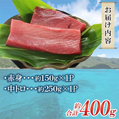 ふるさと納税 瀬戸内町 奄美大島産養殖クロマグロ(2柵セット) |  | 01