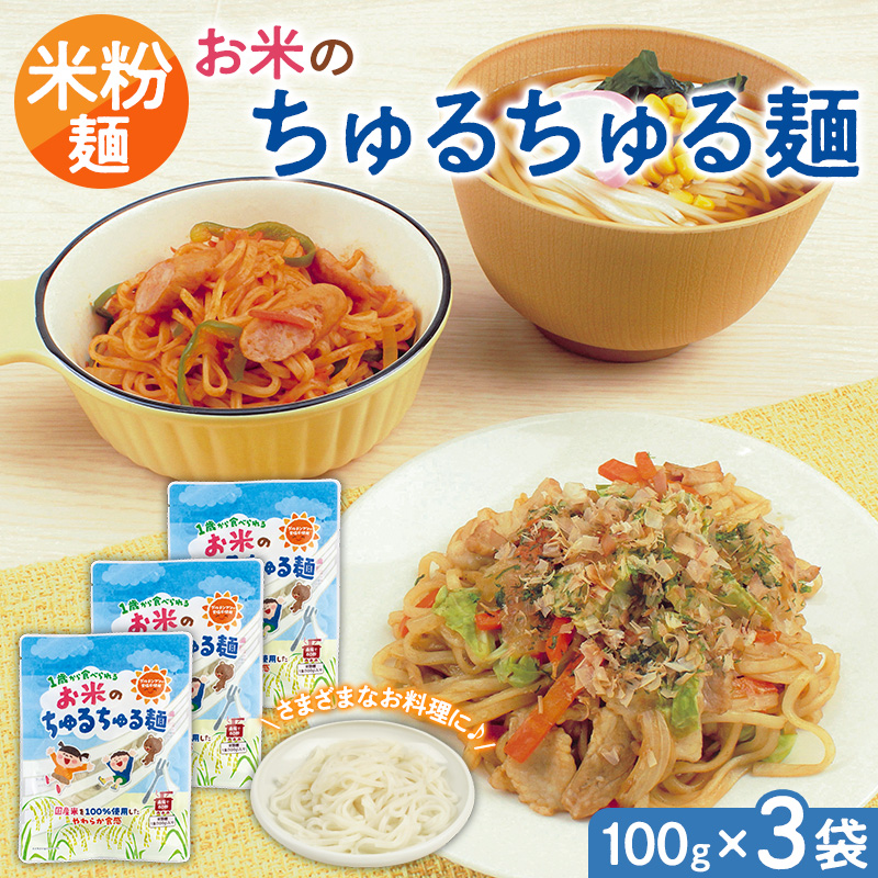 【米粉麺】お米のちゅるちゅる麺 100g×3袋 FY26-111