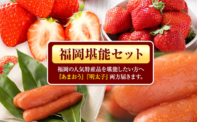 福岡県産あまおう & ふくや味の明太子 200g 南国フルーツ株式会社《1月上旬-3月末頃出荷》福岡県 小竹町 あまおう いちご めんたいこ 明太子 セット 送料無料【配送不可地域あり】---sc_c