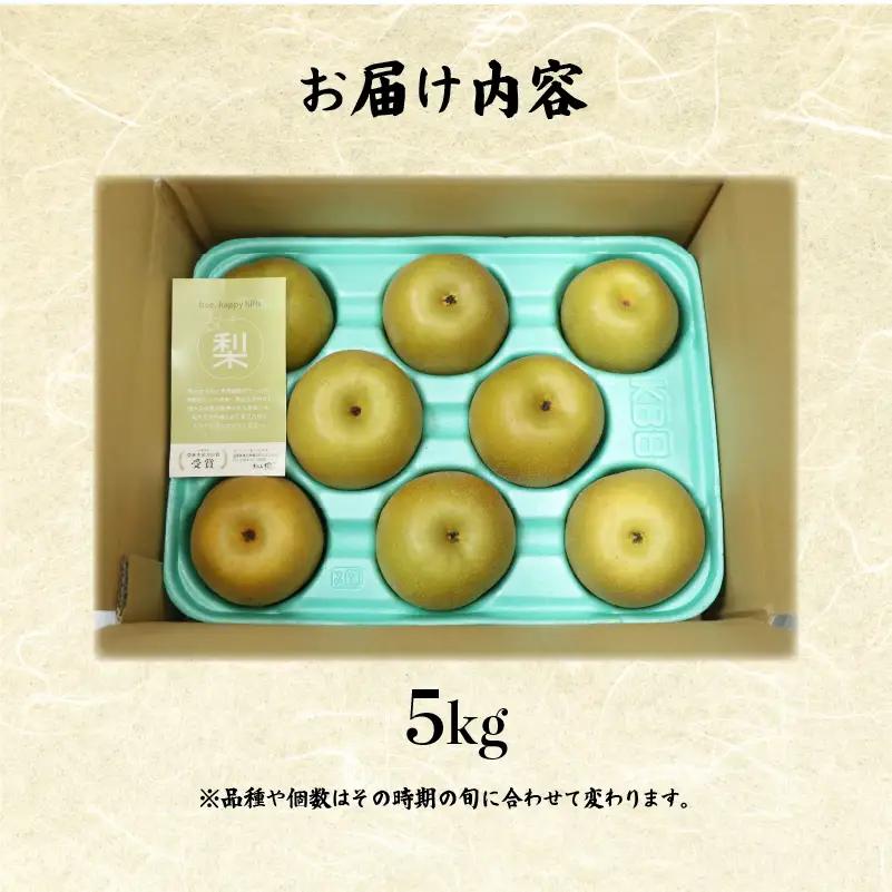 【期間限定】 梨  5kg 品種 おまかせ 8月下旬～9月下旬発送 岡喜農園 令和8年産 数量限定 なし ナシ 幸水 豊水 2026年産 フルーツ 果実 くだもの