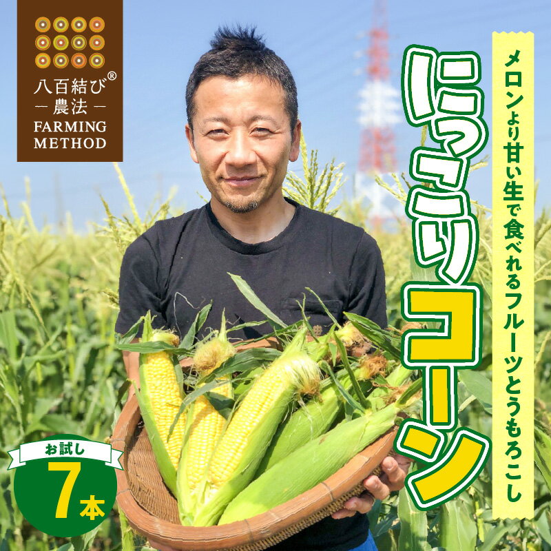 【ふるさと納税】メロンより甘い 甘くて濃厚 2025年発送 とうもろこし お試し 7本 生とうもろこし コーン 糖度 17度以上 にっこりコーン 味来 サニーショコラ 武ちゃん農場 産地直送 朝獲れ 新鮮 愛知県 碧南市 送料無料