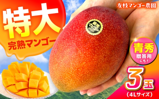 【先行予約】【2027年6月上旬から順次発送】秀品 菊池マンゴー3玉 各625g以上 4Lサイズ 青秀 アップルマンゴー まんごー mango 果物 フルーツ アーウィン くだもの 旬 期間限定 季節限定 スイーツ 国産【友枝マンゴー農園】 [AYDF007]
