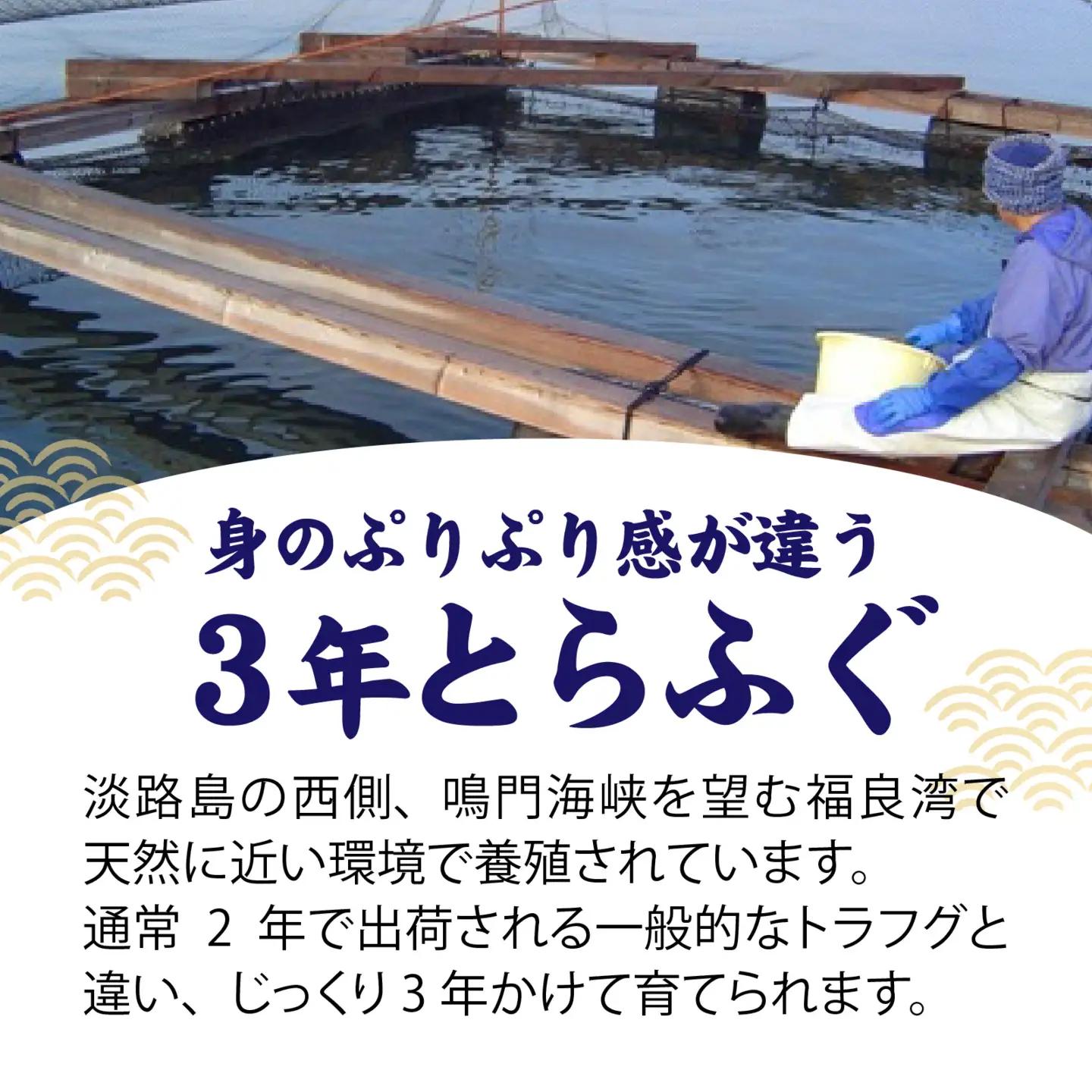 【先行予約】淡路島3年とらふぐ（てっさ・ふぐ刺し・お刺身）3～6人前 ｜ てっさ