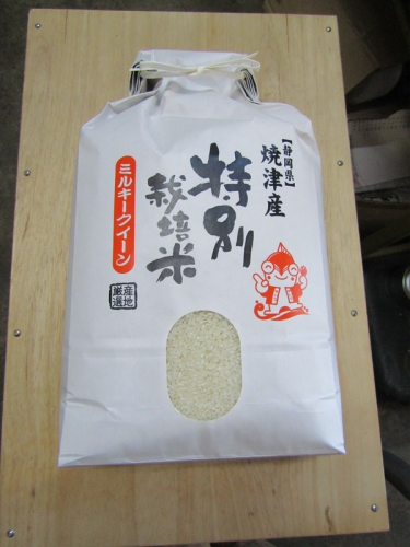 a14-152　新米　令和8年産　特別栽培米　ミルキークイーン　5Kg　農家のお米