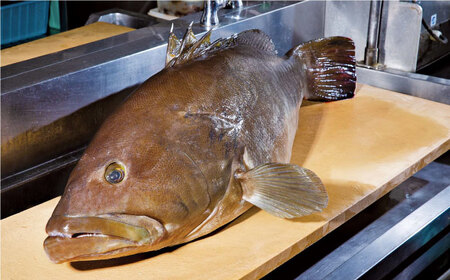 【先行予約】土佐料理司 高知本店　クエ鍋2人前〈2025年11月?発送〉【株式会社土佐料理司】[ATAD004]