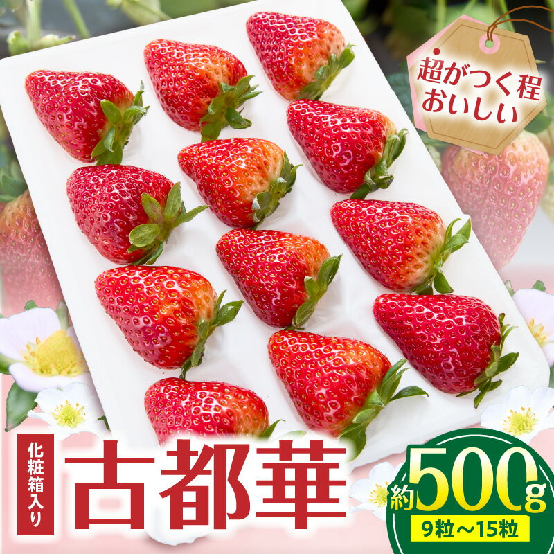 【ふるさと納税】【2026年1月〜3月上旬発送】「古都華」化粧箱入りいちご 甘みと酸味のバランスが抜群 古都華 いちご 1パック 9~15粒 化粧箱 生駒いちご園 果物 フルーツ デザート 高級 贈り物 お取り寄せ お取り寄せフルーツ 奈良県 生駒市 送料無料