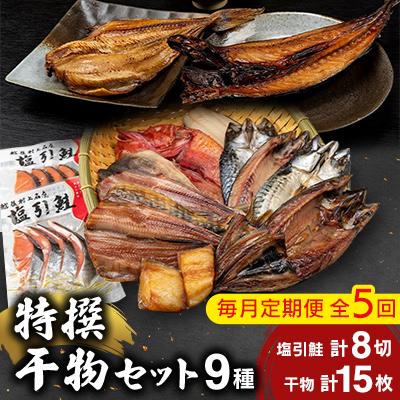 ふるさと納税 村上市 【毎月定期便】特撰干物セット(5ヶ月コース) 全5回