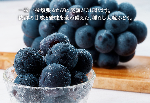 岡山県井原市美星町産 ニューピオーネ 1kg箱（2房入り） ご家庭用