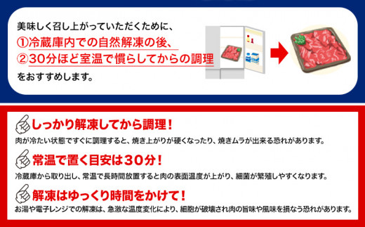 牛肉 黒毛和牛 切り落とし 500g 《30日以内に出荷予定(土日祝除く)》 岡山県 矢掛町 牛 牛肉 和牛 牛丼 カレー 小分け 小分けパック 250g 送料無料 一万 一万円 10000円