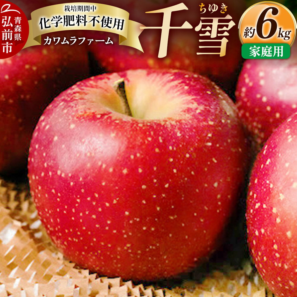 【ふるさと納税】【レビューキャンペーン】【25年10月〜発送】りんご 千雪 約6kg カワムラファーム 家庭用【先行受付】 青森 果物 フルーツ 林檎 リンゴ くだもの 予約