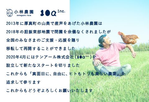 1年間定期便！無投薬・自然養鶏・平飼い卵　毎月５０個×1年間