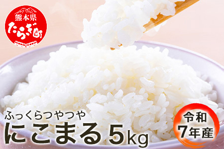 【R7年産 米 】多良木町産 にこまる 5kg 均ちゃん農園 令和7年 精米 熊本県 米どころ 多良木町 白米 ご飯 お米 うるち 米 008-0670